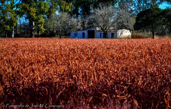 Casa detrás del barbecho