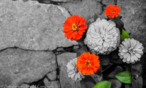 Mardelene13_DSC_0975_77