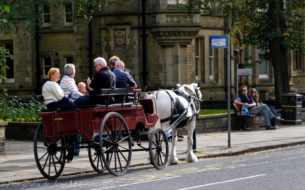 Mateo, Stratford, England