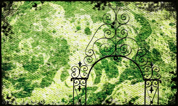 Fantasía con la Reja del Aljibe