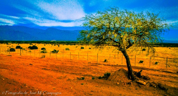 Camino Cafayate-Salta, Argentina