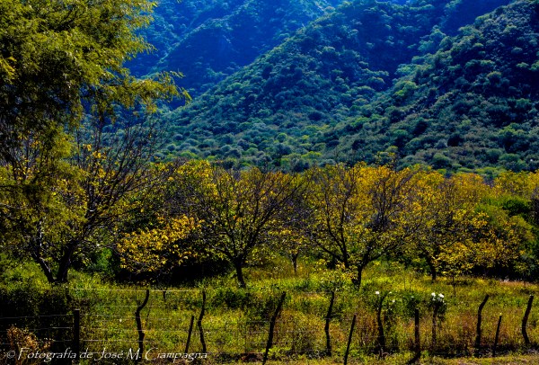 Otoño Catamarqueño