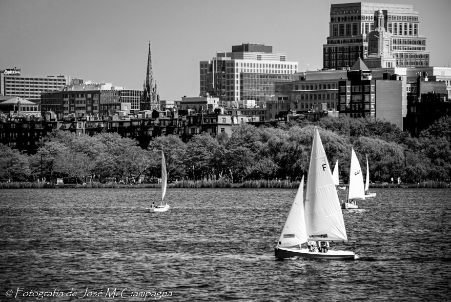 Veleros en el río Charles Eb B/N, Boston, USA.