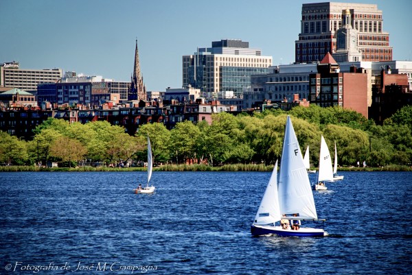 Veleros en el río Charles, Boston