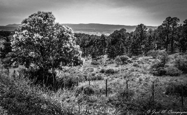 Sierras de Córdoba en blanco y negro foto 1