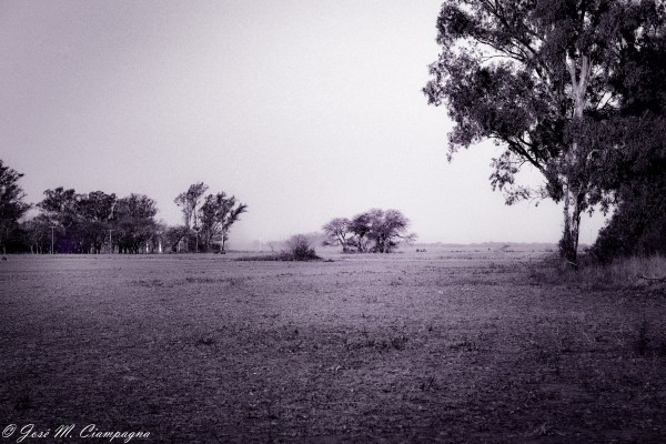 Foto Campo cuatro