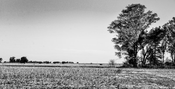 San Teodoro foto dos