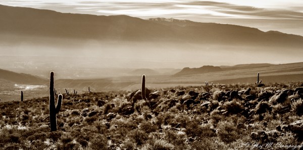 Cardales del norte foto 1
