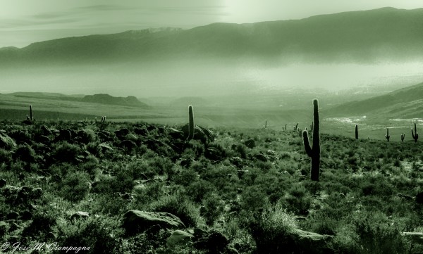 Cardales del norte foto 2