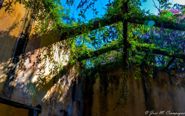 El techo de la tapera