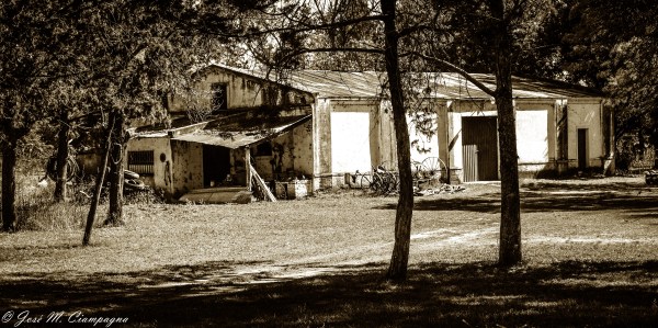 El viejo galpón de San Teodoro