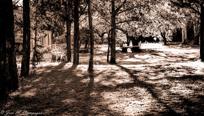 Atardecer en San Teodoro