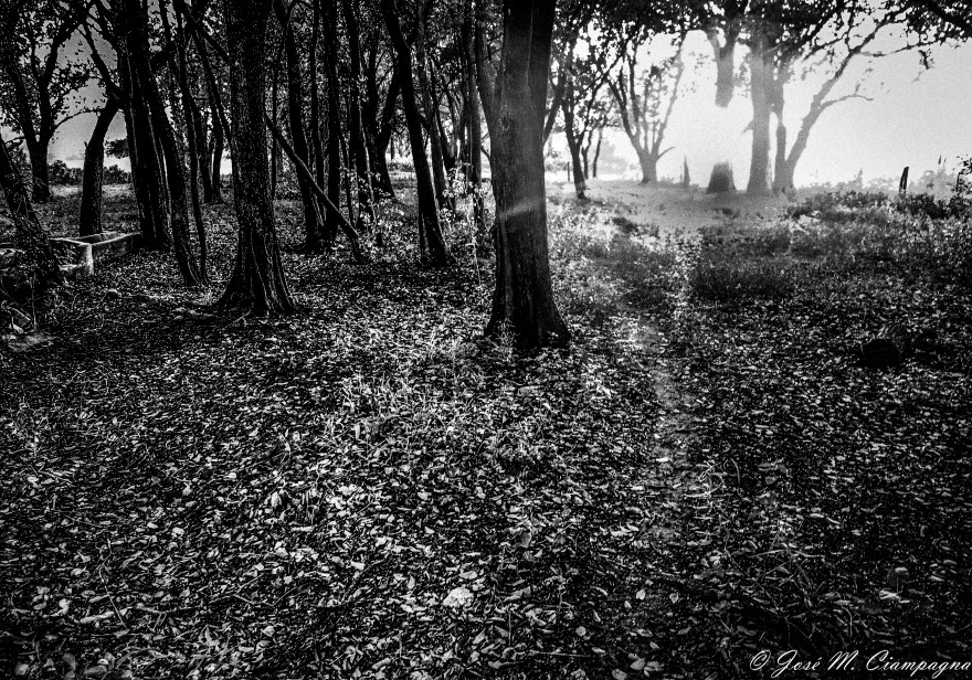 Amanecer en San Teodoro