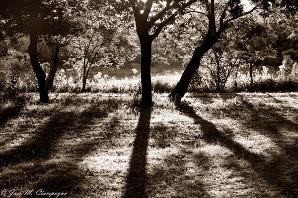 Luces y sombres en San Teodoro