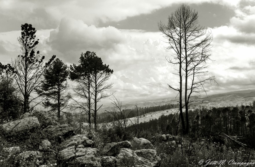 Paisaje desde Altos del Bosque, Yacanto de Calamuchita, Córdoba, Argentina.