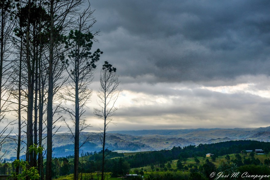 Altos del Bosque en color
