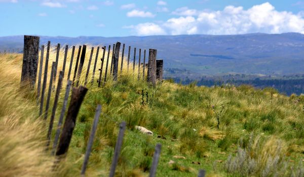 Sierras de Córdoba foto1