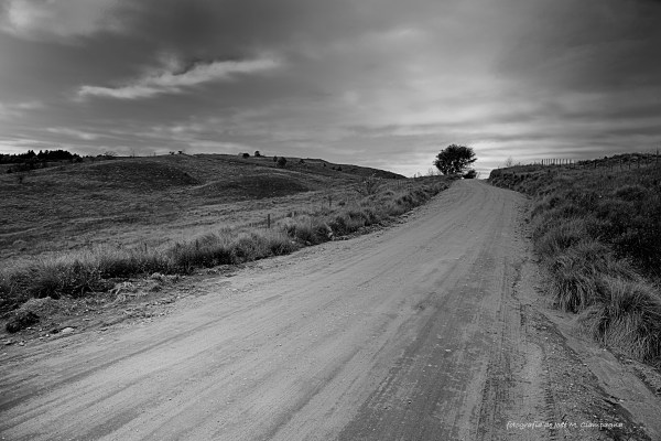 Camino a Villa Alpina