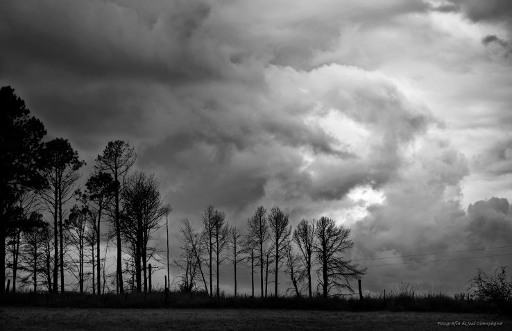 La tormenta tras los pinos