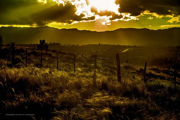Alambrados al sol de la tarde