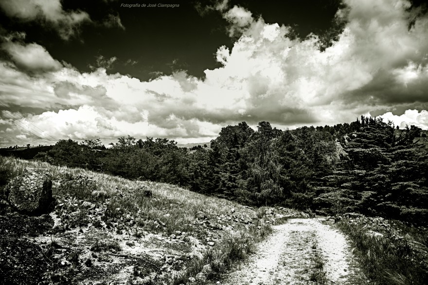 Camino al arroyo, La Domanda