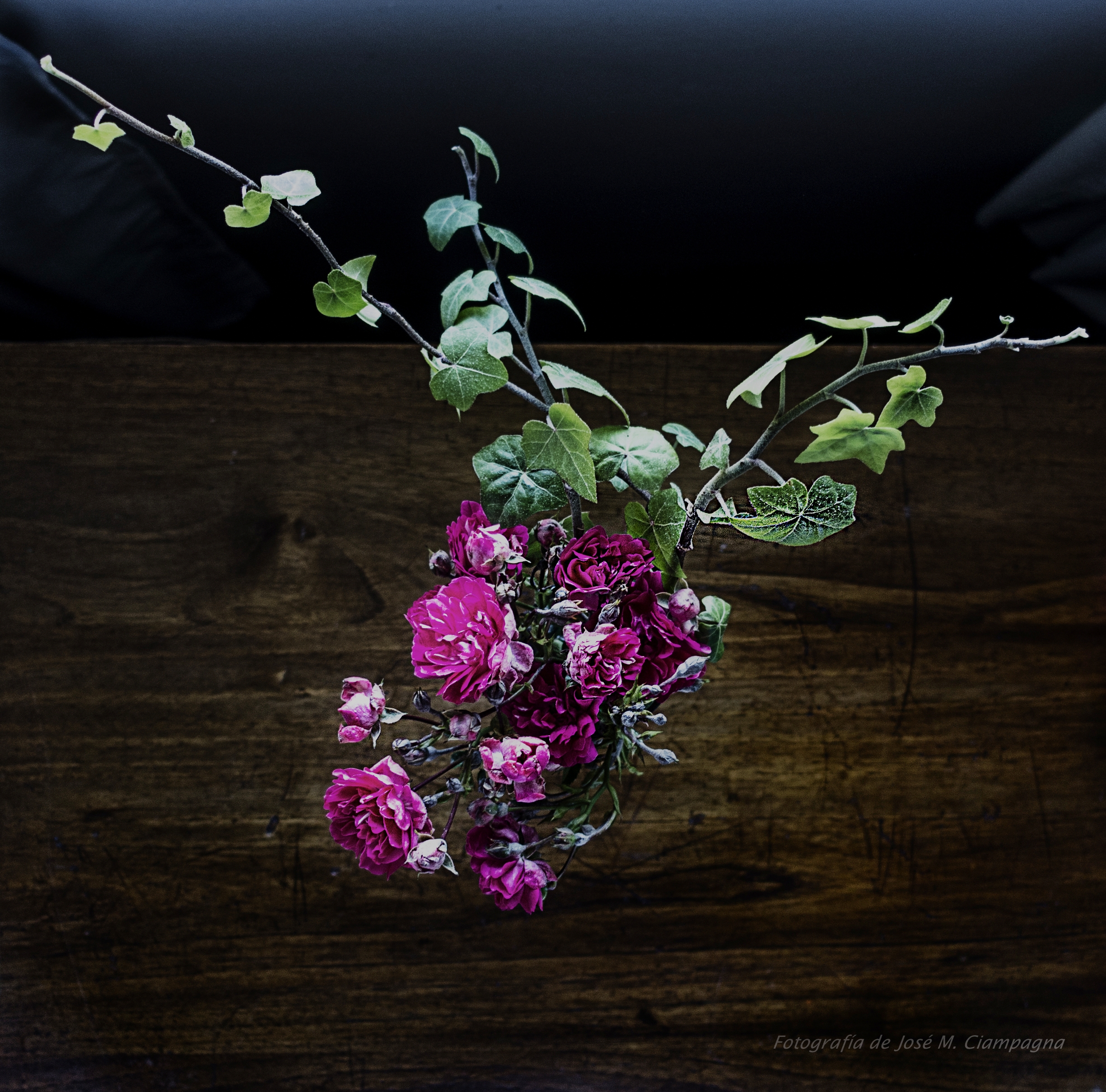 Naturaleza muerta de flores