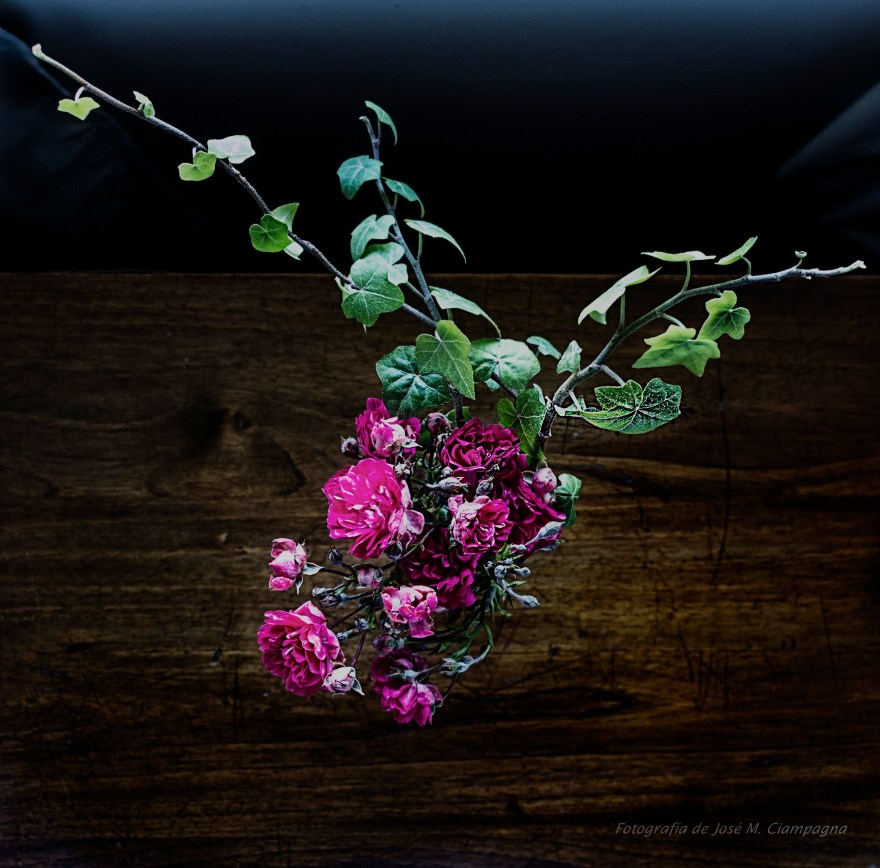 Naturaleza muerta de flores