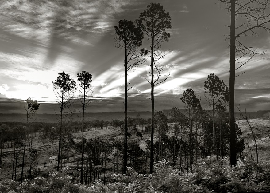 Atardecer cordobés, Yacanto de Calamuchita, Córdoba, Argentina
