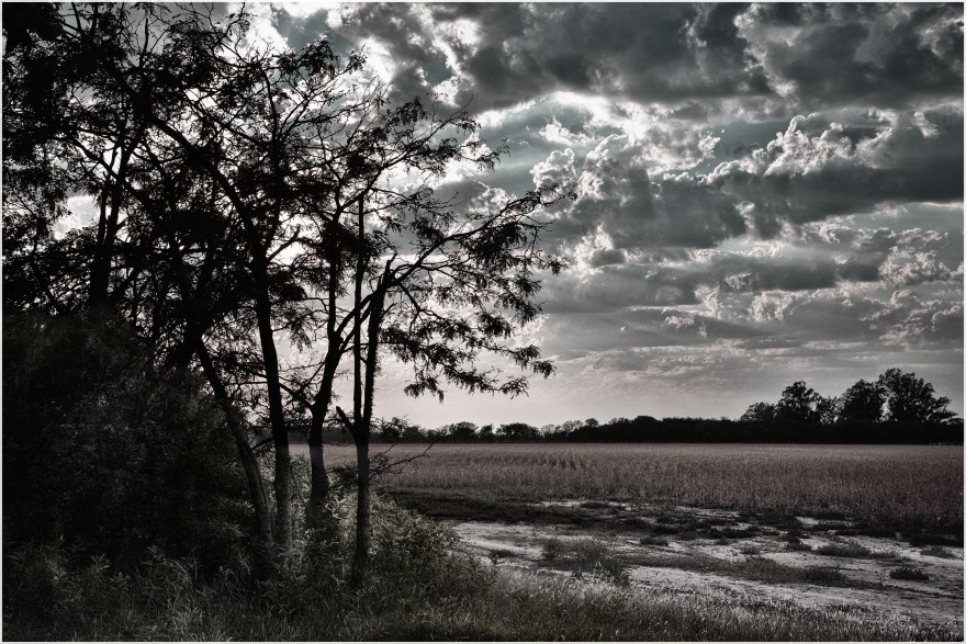 Tiempo de Pascua 2 en San Teodoro