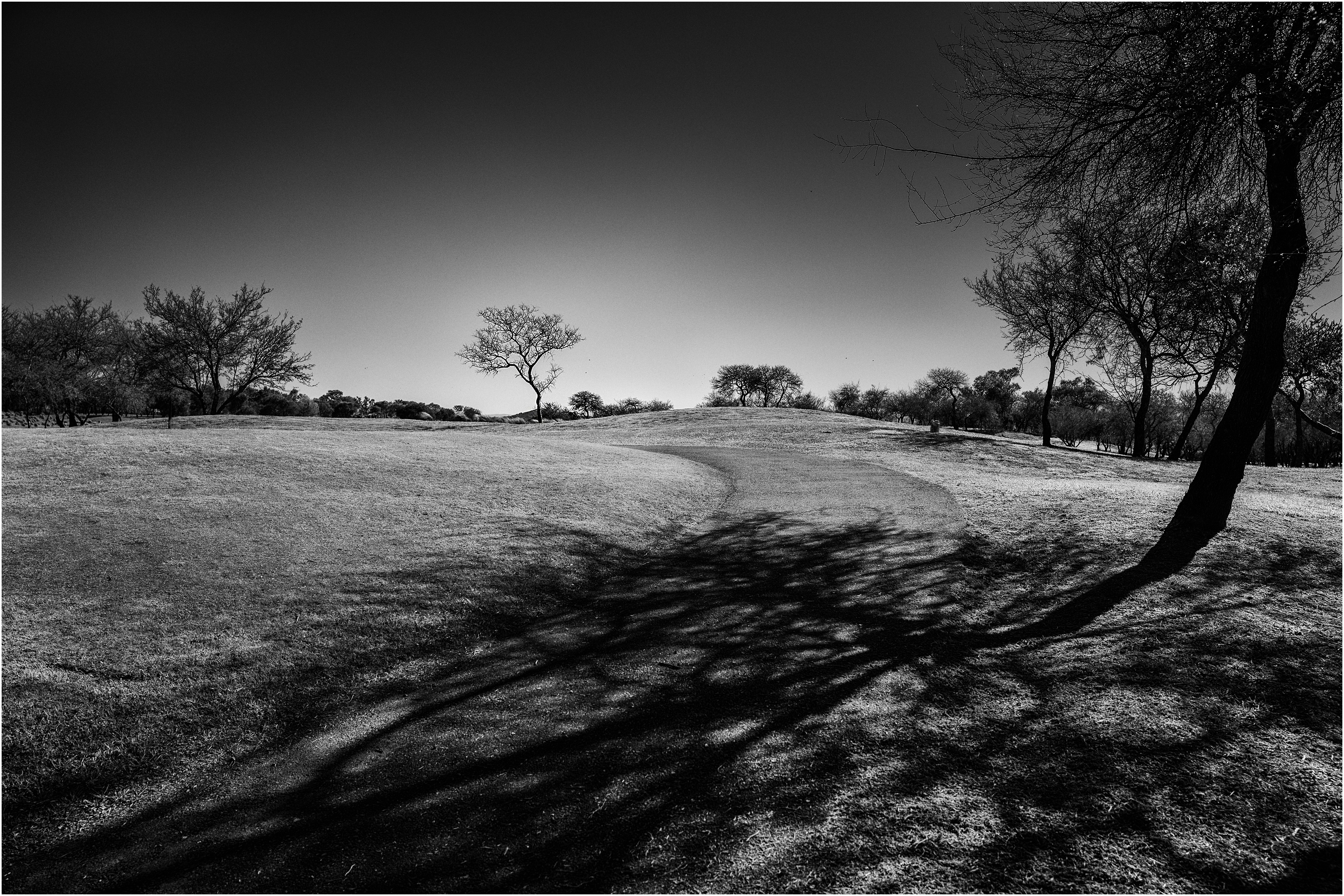 El caminito al árbol. Cercanías de Alta Gracia, Córdoba, Argentina