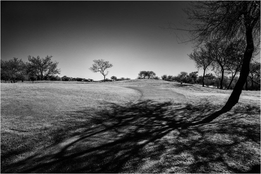 El caminito al árbol. Cercanías de Alta Gracia, Córdoba, Argentina