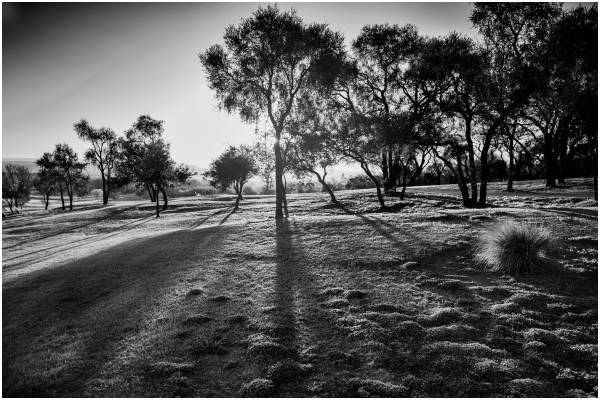 El sol cae sobre los árboles en Valle del Golf