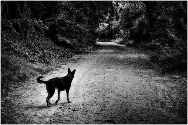 "Caminos internos de la Cumbre"