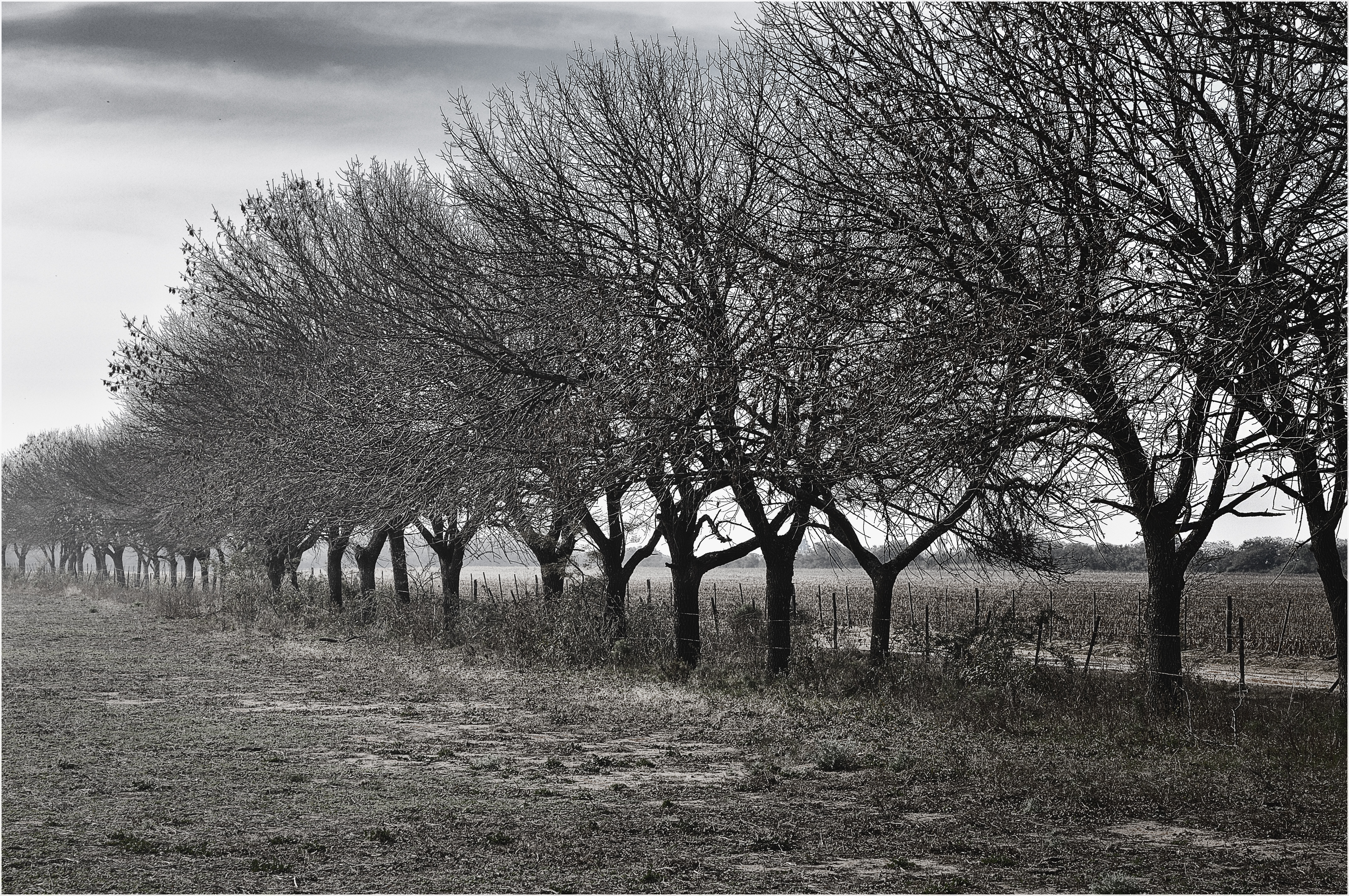 "La fila". Ea. San Teodoro. Río Primero. Córdoba