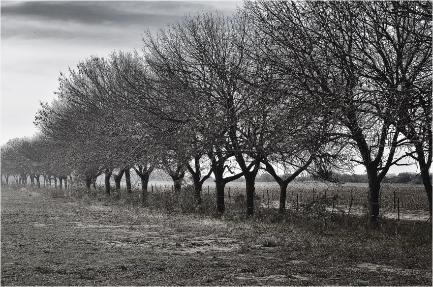"La fila". Ea. San Teodoro. Río Primero. Córdoba