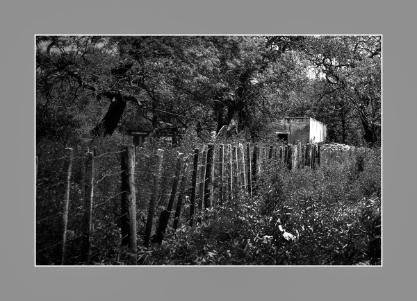 La casa abandonada. Ea.Teodoro, Río Primero, Córdoba, Argentina. Diciembre 2016