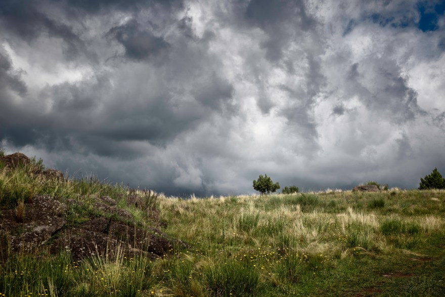 La tormenta arriba del pino 