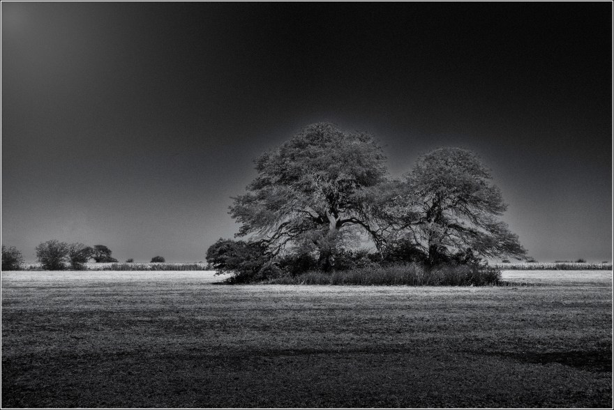 La isla, Zona rural de Río Primero, Córdoba, Argentina