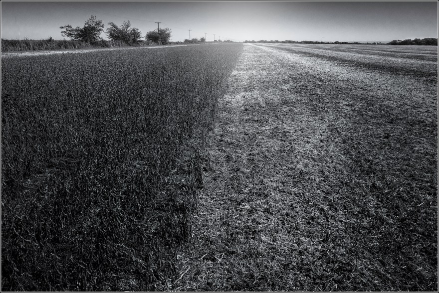 "Suelo trillado", zona rural de Río Primero, Córdoba, Argentina