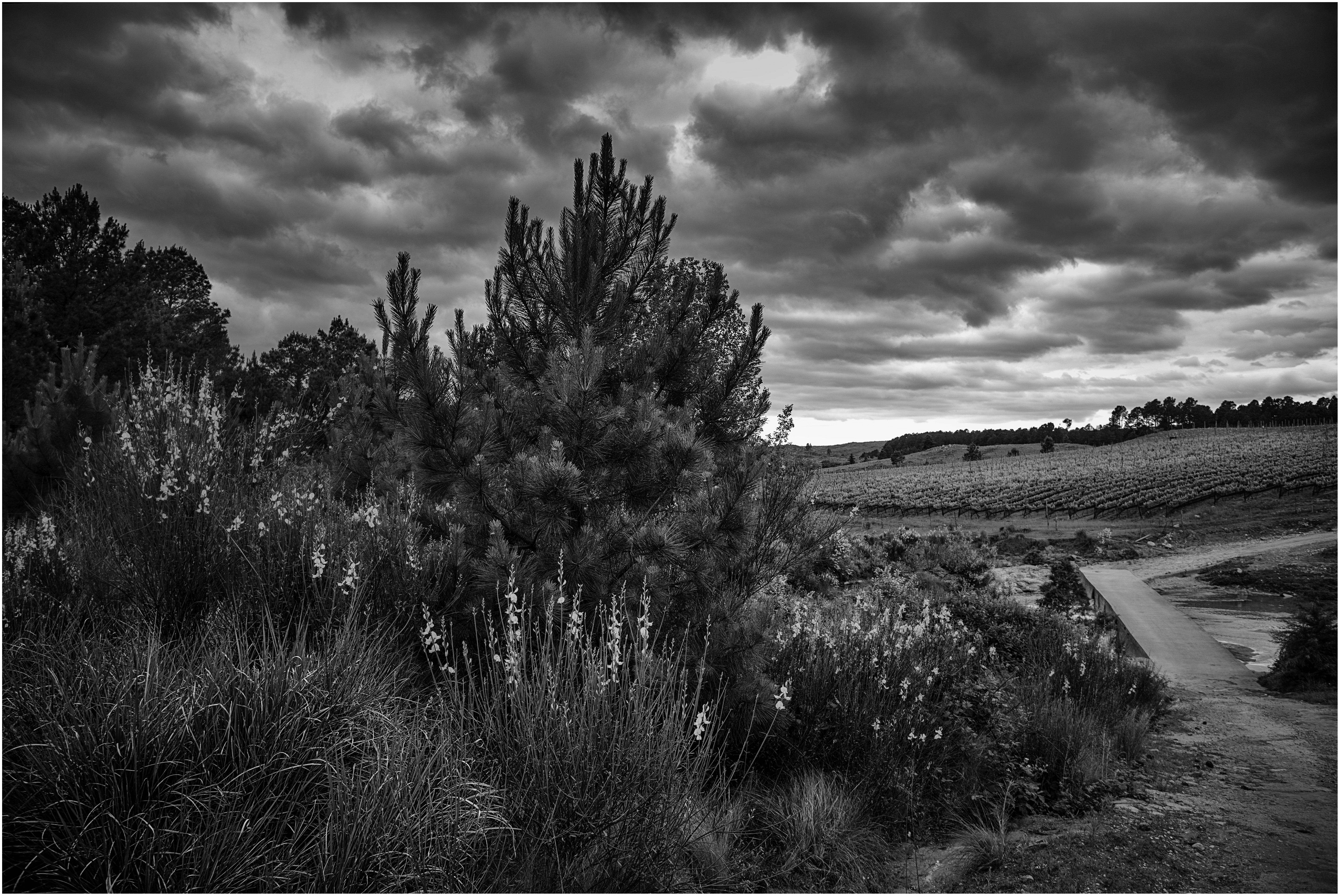 "La entrada a las Cañitas", Sierras de Calamuchita, Córdoba, Argentina