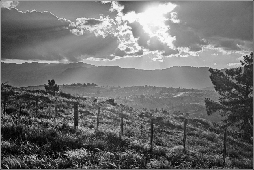 Resplandor en la Domanda 