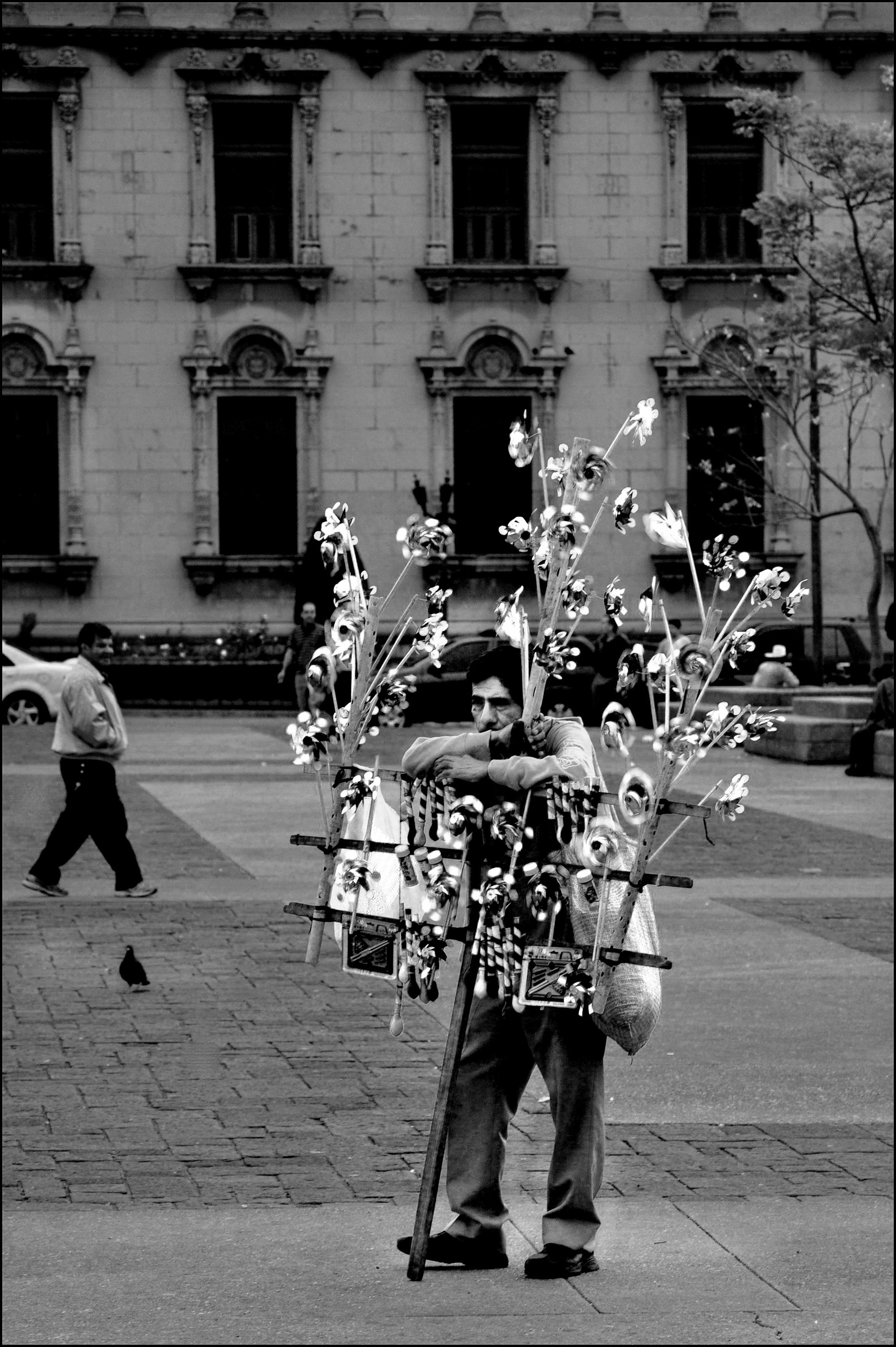 Vendedor de fantasías