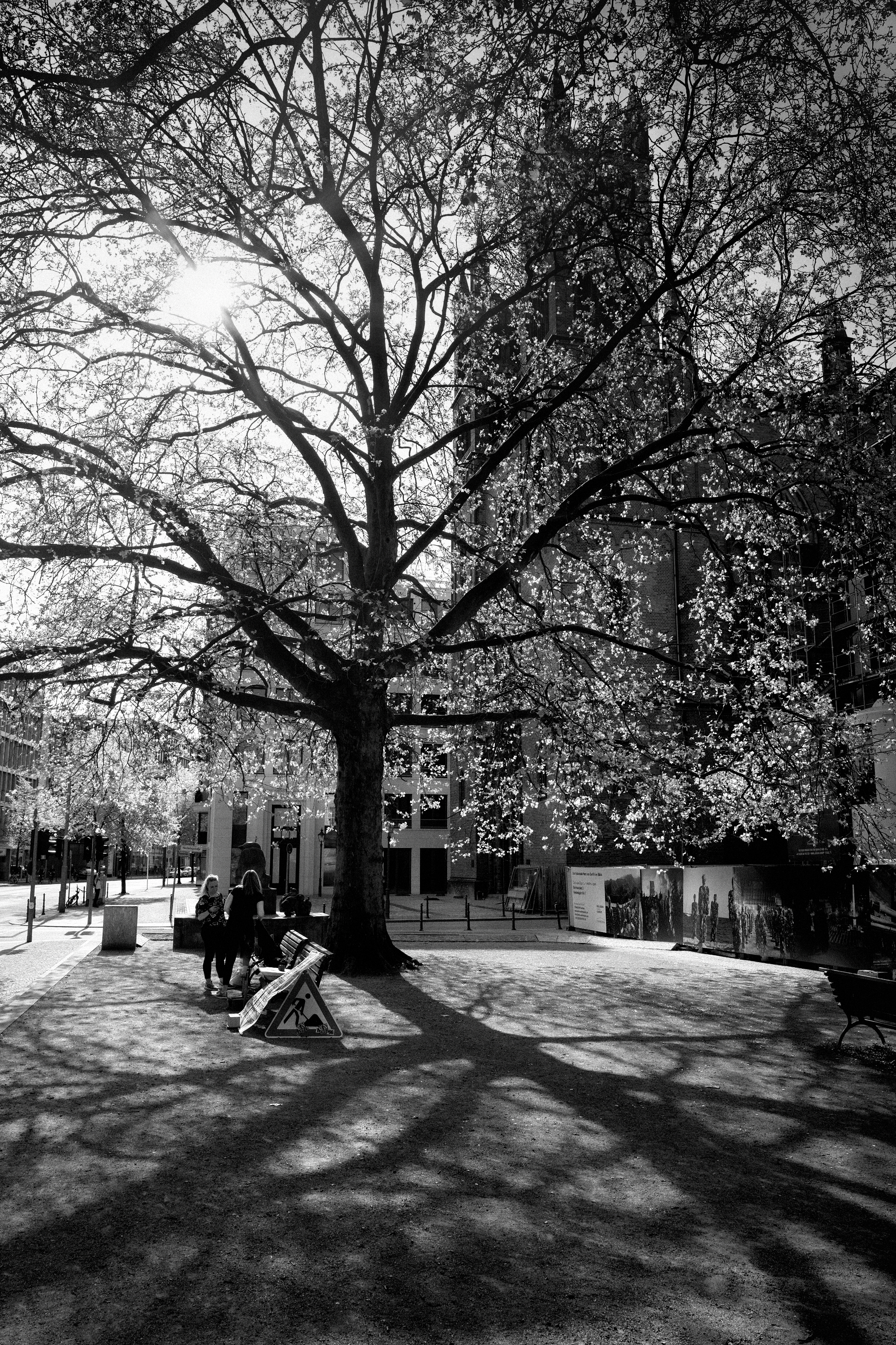 Charlando bajo el árbol, Berlín, Alemania. Abril 2018