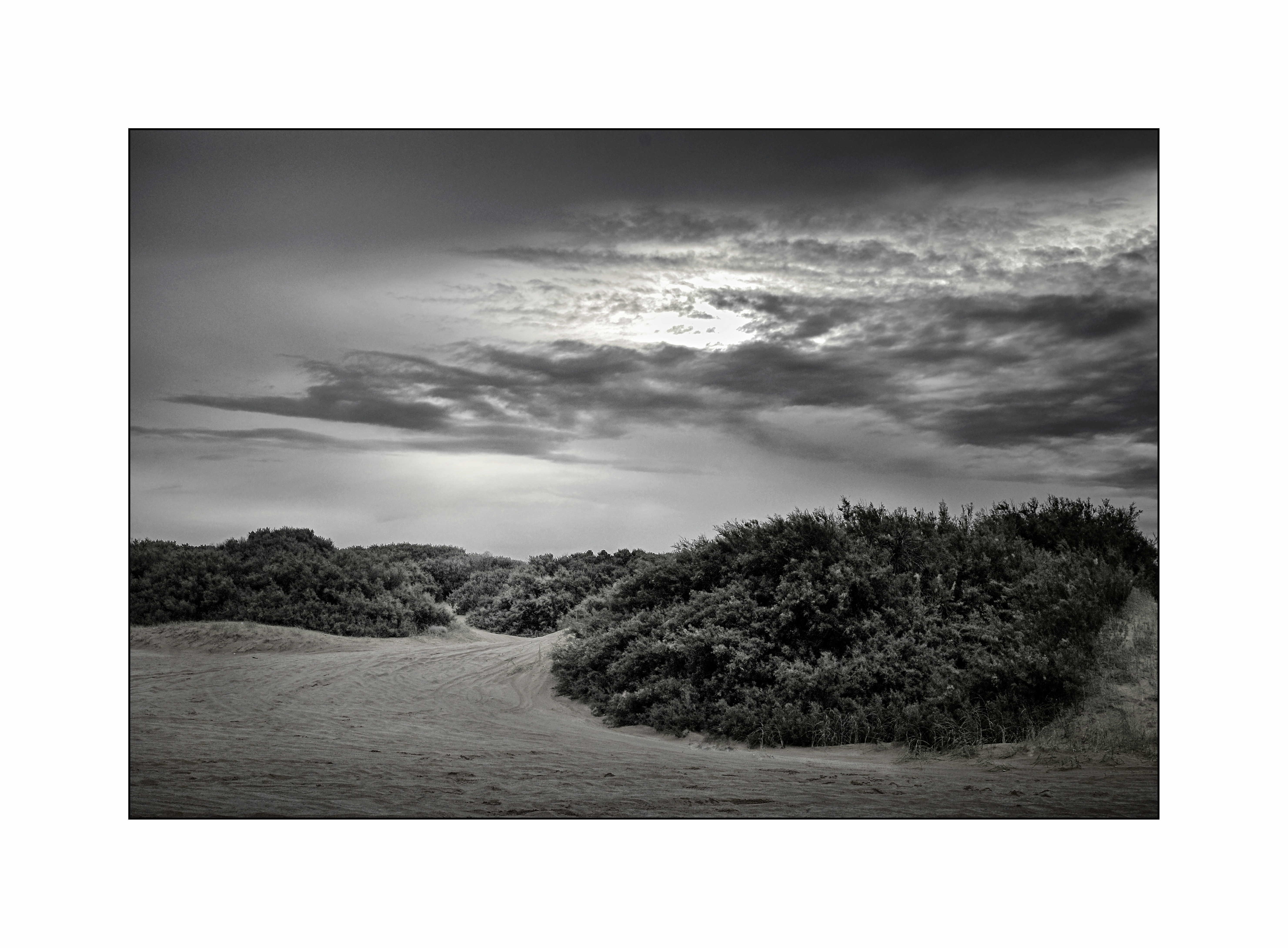 "Las Dunas".Mar de la Pampas, Buenos Aires, Argentina