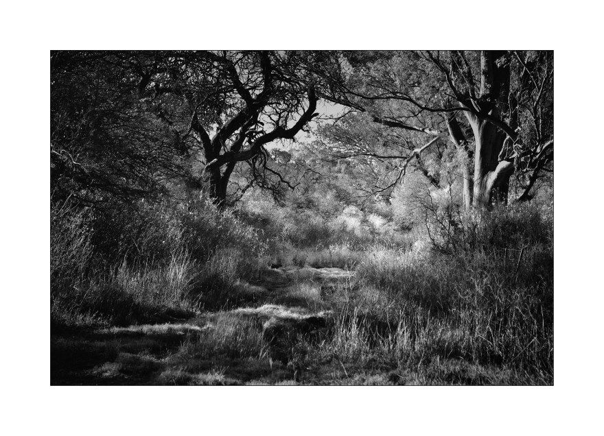 Las luces de la huella, Ea. San Teodoro, Córdoba, Argentina