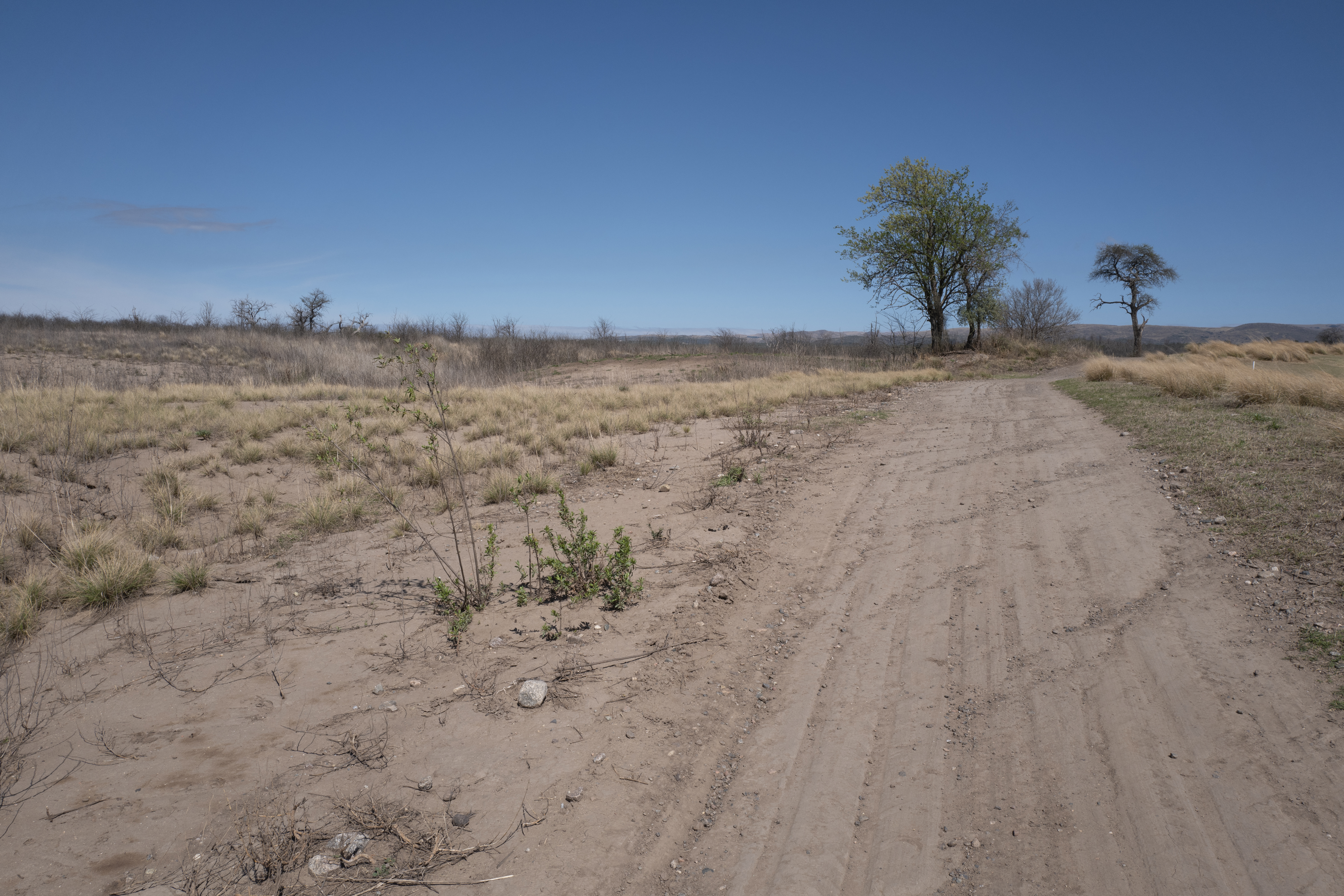 L1000591 sin trabajar